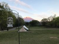 CAMPiii（キャンピー） curetiara