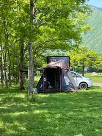 CAMPiii（キャンピー） 伊藤　真史