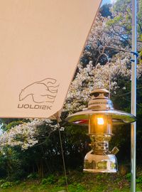 CAMPiii（キャンピー） 元気の実