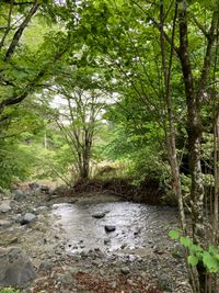 CAMPiii（キャンピー） ぼり