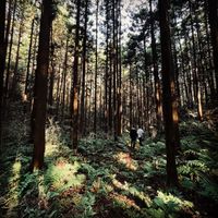 CAMPiii（キャンピー） HIROTO TODAKA
