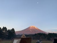CAMPiii（キャンピー） との