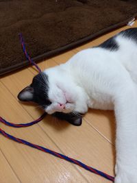 CAMPiii（キャンピー） ヤマベ