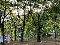 CAMPiii（キャンピー） あおいろ