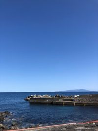 CAMPiii（キャンピー） 中村 大輔