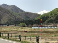 CAMPiii（キャンピー） たかびー