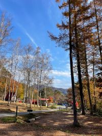CAMPiii（キャンピー） ティーティ=ウー