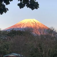 CAMPiii（キャンピー） katsu 