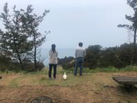 CAMPiii（キャンピー） イルム