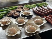 CAMPiii（キャンピー） はやと