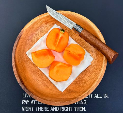 🌲森林サイトで癒される &GREEN龍ケ崎キャンプ場 ソロキャンプ フリーサイト オートサイト ARUGOさんのキャンプブログ CAMPiii(キャンピー) -キャンプ専用SNS キャンプのすべてがここに集まる-