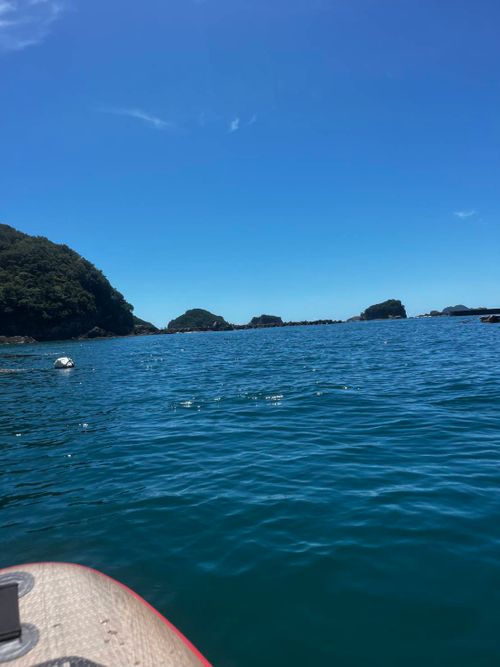 海サップ 孫太郎オートキャンプ場 グループキャンプ 区画サイト しずさんのキャンプブログ CAMPiii(キャンピー) -キャンプ専用SNS キャンプのすべてがここに集まる-
