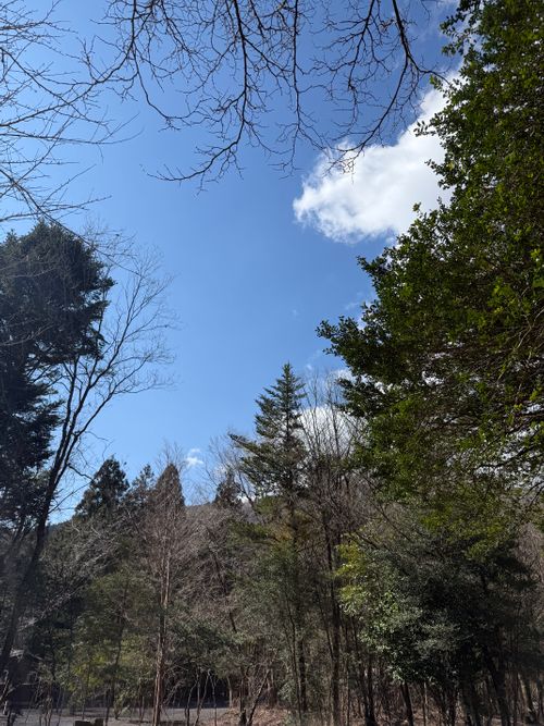 買ってしまった🤭 Foresters Village Kobitto あさぎりキャンプフィールド ソロキャンプ 区画サイト オートサイト ちはみなさんのキャンプブログ CAMPiii（キャンピー） -キャンプ専用SNS キャンプのすべてがここに集まる-