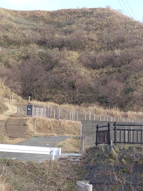 2026年初キャンプ　春ですがまだまだ寒かった The earth with dogs ファミリーキャンプ 区画サイト オートサイト セツさんのキャンプブログ CAMPiii（キャンピー） -キャンプ専用SNS キャンプのすべてがここに集まる-