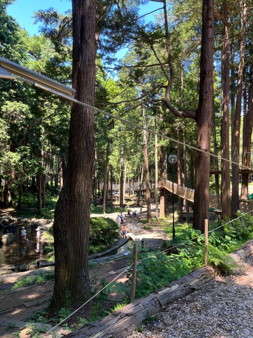 県外初キャンプ⛺️ &GREEN龍ケ崎キャンプ場 ソロキャンプ フリーサイト alex04tbさんのキャンプブログ CAMPiii(キャンピー) -キャンプ専用SNS キャンプのすべてがここに集まる-