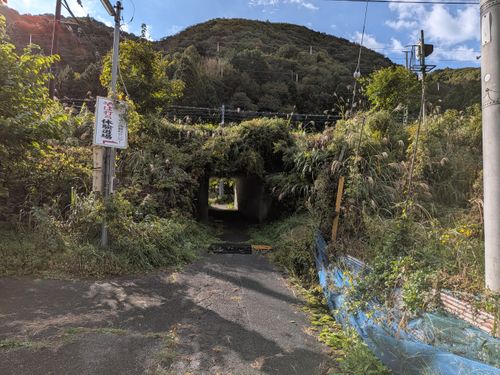 久しぶりのキャンプ みよりふるさと体験村 テントサイト（キャンプ場） ソロキャンプ フリーサイト 俺の酒場は野にあるさんのキャンプブログ CAMPiii（キャンピー） -キャンプ専用SNS キャンプのすべてがここに集まる-