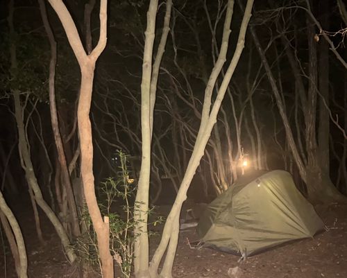 CAMPiii（キャンピー） まっつんさんのキャンプブログ 西湖サイコー PICA富士西湖