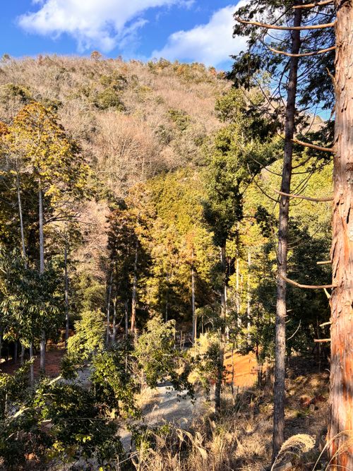 あけまして2026。 KAWAI VILLAGE CAMP グループキャンプ 区画サイト オートサイト あやぴーさんのキャンプブログ CAMPiii（キャンピー） -キャンプ専用SNS キャンプのすべてがここに集まる-