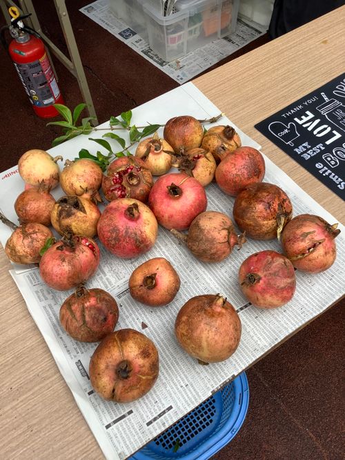 Vol.105 25/NO.24 笛吹小屋キャンプ場〜中津峡〜〆ホルモン屋‼️ 笛吹小屋キャンプ場 ソロキャンプ 区画サイト 🔥焚き火🔥さんのキャンプブログ CAMPiii(キャンピー) -キャンプ専用SNS キャンプのすべてがここに集まる-