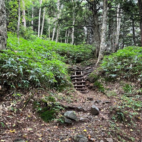 I miss HOTAKA⛰️ 徳沢キャンプ場 ソロキャンプ フリーサイト shuさんのキャンプブログ CAMPiii(キャンピー) -キャンプ専用SNS キャンプのすべてがここに集まる-