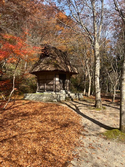 あれ⁈こないだ来たよーな… 閑乗寺公園 キャンプ場 グループキャンプ ソロキャンプ ファミリーキャンプ フリーサイト まっつんさんのキャンプブログ CAMPiii（キャンピー） -キャンプ専用SNS キャンプのすべてがここに集まる-