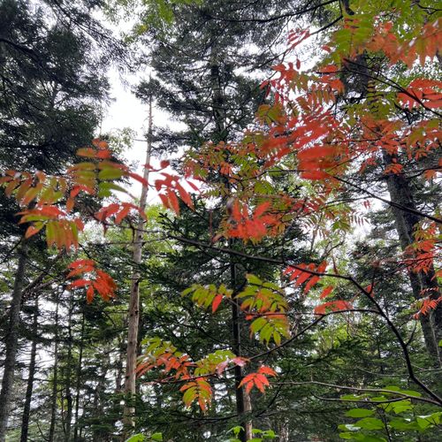 I miss HOTAKA⛰️ 徳沢キャンプ場 ソロキャンプ フリーサイト shuさんのキャンプブログ CAMPiii(キャンピー) -キャンプ専用SNS キャンプのすべてがここに集まる-