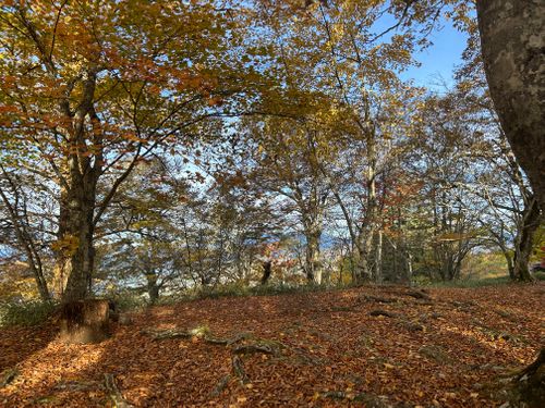 誘われて大菩薩嶺(自分は車中泊😆) 大菩薩嶺 ソロキャンプ グループキャンプ Genさんのキャンプブログ CAMPiii（キャンピー） -キャンプ専用SNS キャンプのすべてがここに集まる-