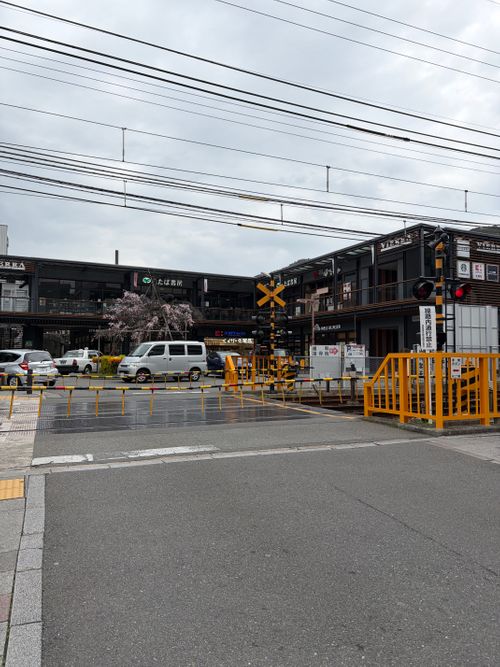 老人2人とピクニック 湖岸緑地 志那1 ファミリーキャンプ フリーサイト 美味しいご飯が食べたい！！さんのキャンプブログ CAMPiii（キャンピー） -キャンプ専用SNS キャンプのすべてがここに集まる-