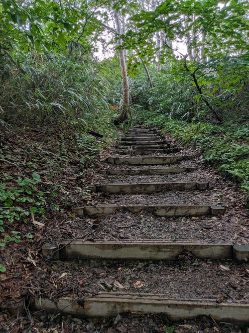 2016年 お盆 酸ヶ湯キャンプ場 ソロキャンプ 区画サイト IZUIZUさんのキャンプブログ CAMPiii（キャンピー） -キャンプ専用SNS キャンプのすべてがここに集まる-