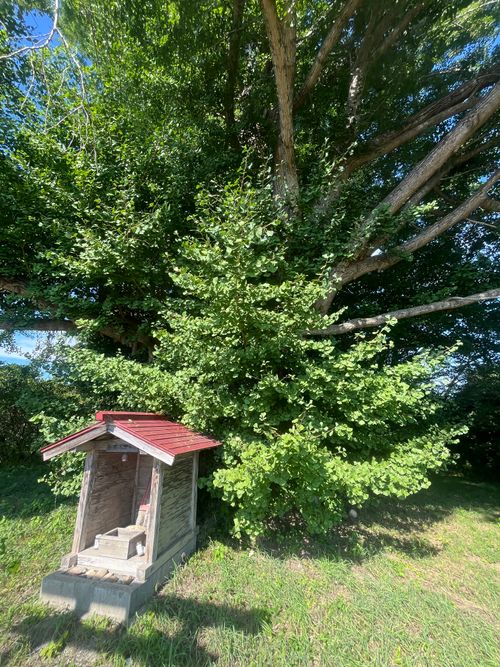 みちのく潮風トレイル 福島 相馬編 貸し切りができる小さなキャンプ場 beeto ソロキャンプ 区画サイト まっつんさんのキャンプブログ CAMPiii(キャンピー) -キャンプ専用SNS キャンプのすべてがここに集まる-