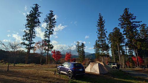 紅葉狩り 日光・まなかの森 キャンプ＆スパリゾート ソロキャンプ グループキャンプ 区画サイト まーささんのキャンプブログ CAMPiii（キャンピー） -キャンプ専用SNS キャンプのすべてがここに集まる-