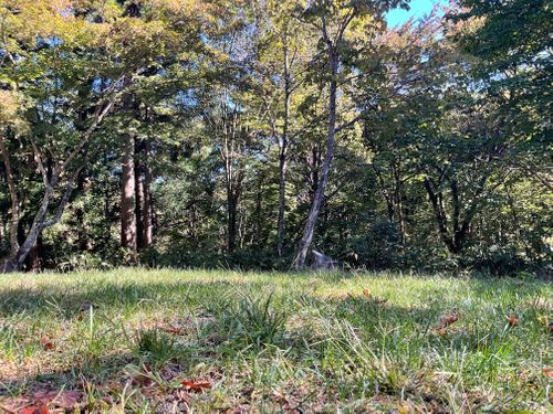 貸し切りすぎ、気持ち良すぎ、カメムシいすぎ North Village Hirugano - Camping Fields ファミリーキャンプ オートサイト 区画サイト りょっちーさんのキャンプブログ CAMPiii（キャンピー） -キャンプ専用SNS キャンプのすべてがここに集まる-