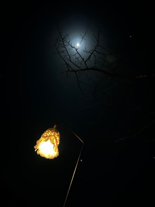 母子の山登りキャンプ 吉見温泉キャンプ場 はやぷささんのキャンプブログ CAMPiii（キャンピー） -キャンプ専用SNS キャンプのすべてがここに集まる-