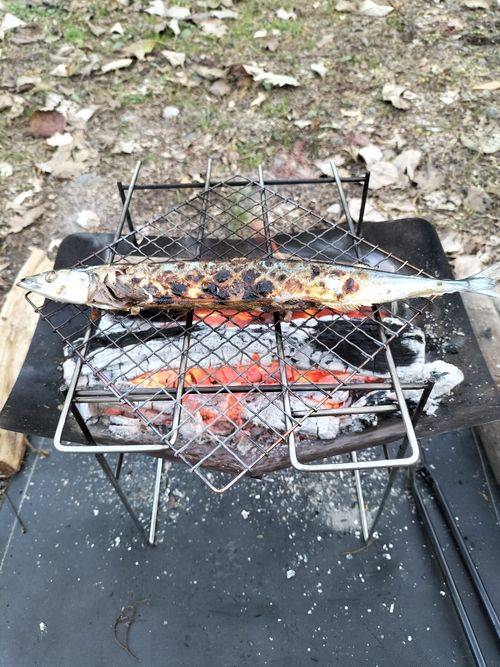 秋刀魚が食べたくて😁 武甲キャンプ場 ソロキャンプ 区画サイト ぼっちオヤジさんのキャンプブログ CAMPiii（キャンピー） -キャンプ専用SNS キャンプのすべてがここに集まる-