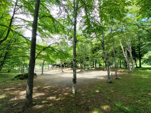 あの有名な無料キャンプ場の近くで、2025年4月から新体制でリスタートしたこの夏注目のお値打ちキャンプ場で避暑キャン2泊目ソロデュオ 木曽駒オートキャンプ場 ソロキャンプ グループキャンプ 区画サイト オートサイト たかたかぽんたさんのキャンプブログ CAMPiii(キャンピー) -キャンプ専用SNS キャンプのすべてがここに集まる-