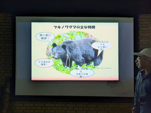 山と食欲と盗賊。 上高地森のリゾート小梨 ソロキャンプ フリーサイト ぞのさんさんのキャンプブログ CAMPiii(キャンピー) -キャンプ専用SNS キャンプのすべてがここに集まる-