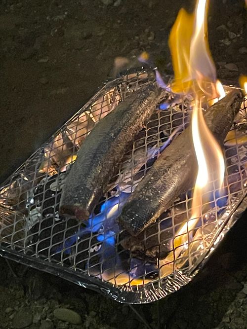 原点回帰、清瀬徒歩キャン 清瀬金山緑地公園河原 ソロキャンプ フリーサイト もるがんさんのキャンプブログ CAMPiii(キャンピー) -キャンプ専用SNS キャンプのすべてがここに集まる-