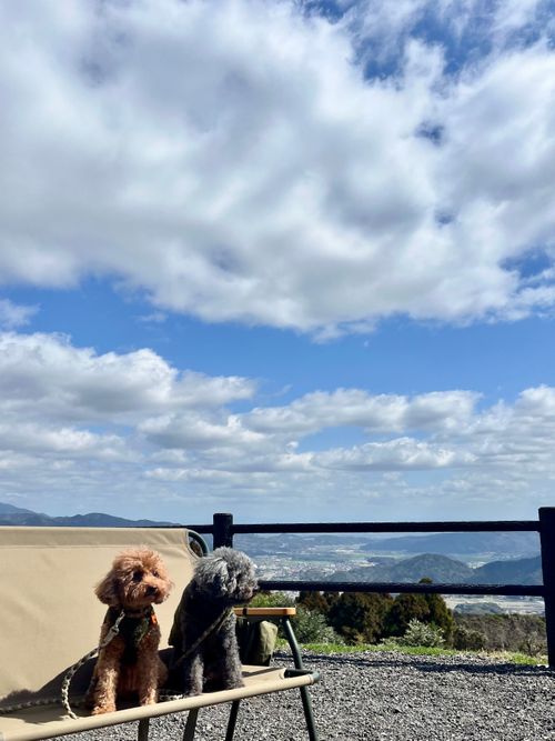 2026.3.4〜5 FUNAYAMA MOUNTAIN akemi.09.02さんのキャンプブログ CAMPiii（キャンピー） -キャンプ専用SNS キャンプのすべてがここに集まる-