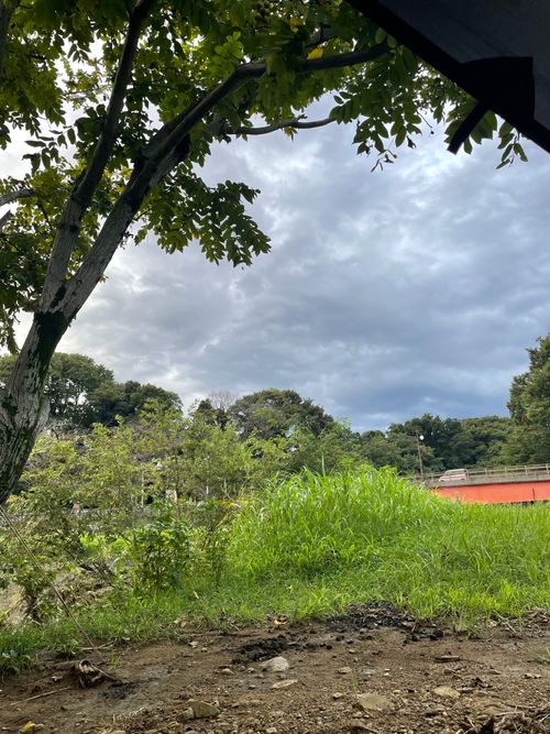 原点回帰、清瀬徒歩キャン 清瀬金山緑地公園河原 ソロキャンプ フリーサイト もるがんさんのキャンプブログ CAMPiii(キャンピー) -キャンプ専用SNS キャンプのすべてがここに集まる-