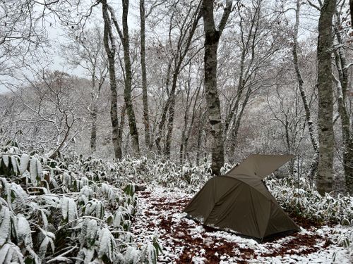 ま、まさかの ソロキャンプ YOTIさんのキャンプブログ CAMPiii(キャンピー) -キャンプ専用SNS キャンプのすべてがここに集まる-