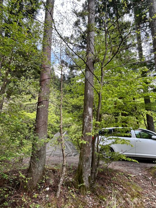 久しぶりのソロキャンプ🏕️ 道志の森キャンプ場 ソロキャンプ フリーサイト Genさんのキャンプブログ CAMPiii（キャンピー） -キャンプ専用SNS キャンプのすべてがここに集まる-