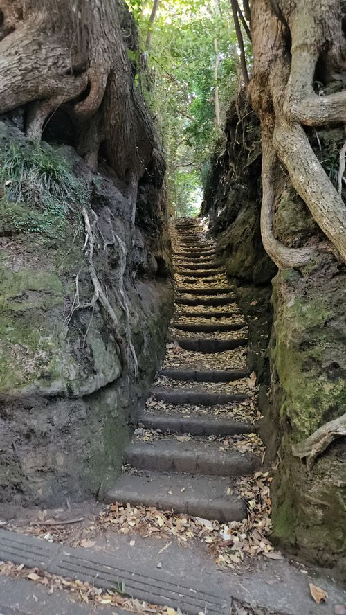 その後 日本 ソロキャンプ グループキャンプ 区画サイト フリーサイト オートサイト IZUIZUさんのキャンプブログ CAMPiii（キャンピー） -キャンプ専用SNS キャンプのすべてがここに集まる-