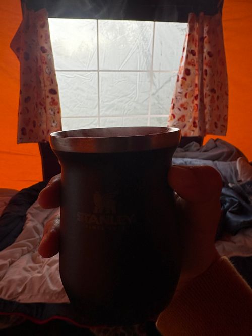 2025最後の旅する古本屋〜紫微輝く森の片隅で〜 紫星の森 ソロキャンプ フリーサイト ぱぱちょさんのキャンプブログ CAMPiii（キャンピー） -キャンプ専用SNS キャンプのすべてがここに集まる-