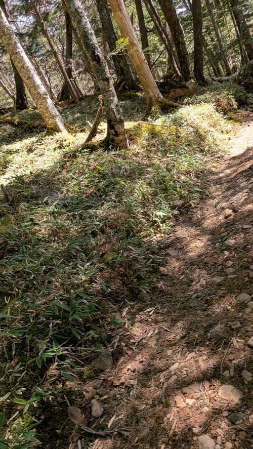 ちくいち (標高約1200m)(オートフリーサイト4500円) 内山牧場 ソロキャンプ グループキャンプ フリーサイト オートサイト IZUIZUさんのキャンプブログ CAMPiii（キャンピー） -キャンプ専用SNS キャンプのすべてがここに集まる-