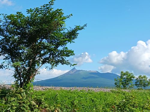 北海道の旨い!を食べるC△mp旅’2025(3 of 4) 北海道 ファミリーキャンプ キャンピングカー vios outdoor'sさんのキャンプブログ CAMPiii(キャンピー) -キャンプ専用SNS キャンプのすべてがここに集まる-