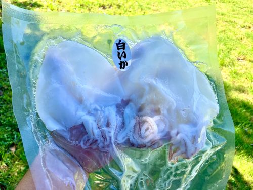 鳥取スゴッ! もう砂漠じゃん 行ったことないけどw 西のふもとっぱらMasumizu天空キャンプ場 ソロキャンプ フリーサイト けんじさんのキャンプブログ CAMPiii(キャンピー) -キャンプ専用SNS キャンプのすべてがここに集まる-