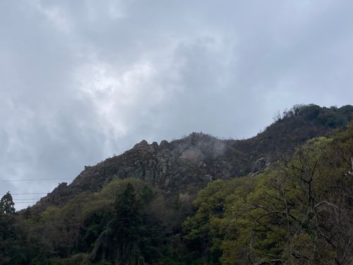 ☔︎雨キャン☔︎ かじかじテラスcampfield ファミリーキャンプ 区画サイト オートサイト masaさんのキャンプブログ CAMPiii（キャンピー） -キャンプ専用SNS キャンプのすべてがここに集まる-