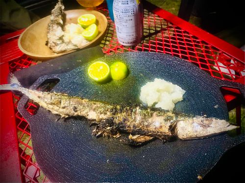 待望の晴れ晴れ☀️おじおばうさキャン△ in 阿武川温泉公園キャンプ場 〜 CAMP NO.155 萩阿武川温泉公園(キャンプ可) ファミリーキャンプ グループキャンプ フリーサイト おじキャン△さんのキャンプブログ CAMPiii(キャンピー) -キャンプ専用SNS キャンプのすべてがここに集まる-