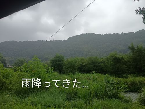お盆休み、マターリ デーキャンプ ソロキャンプ フリーサイト ウエィダーさんのキャンプブログ CAMPiii（キャンピー） -キャンプ専用SNS キャンプのすべてがここに集まる-