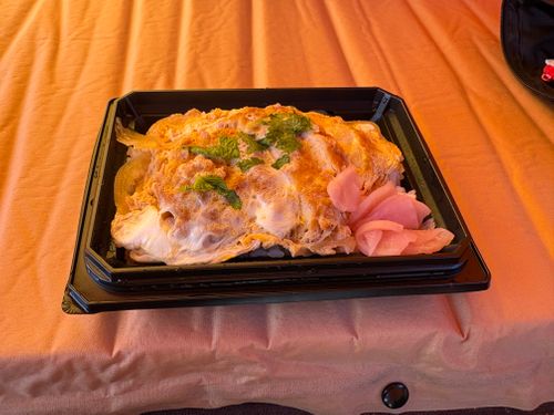 2026「旅する古本屋」のっそり始動 casano-va笠の場 ソロキャンプ フリーサイト ぱぱちょさんのキャンプブログ CAMPiii（キャンピー） -キャンプ専用SNS キャンプのすべてがここに集まる-